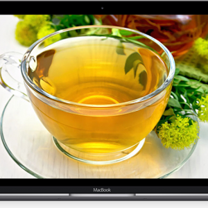 Nutrition & Herbal Toolbox