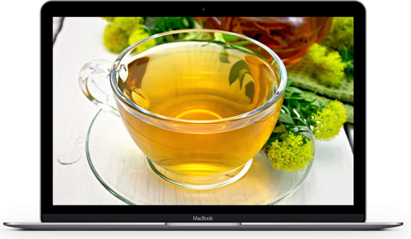 Nutrition & Herbal Toolbox
