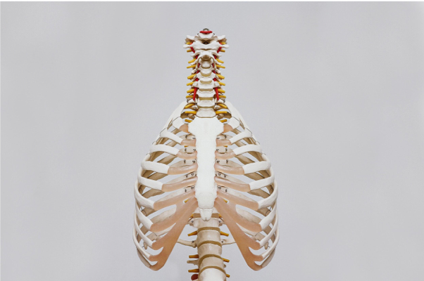 Cannabis & Bone Health Magic Tricks