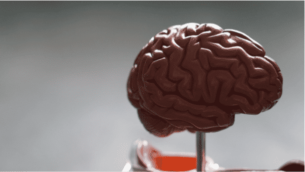 The Brain Protective Power of Cannabis