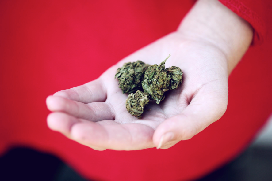 Medicinal Marijuana Patients Less Likely to Smoke Than Recreational Users